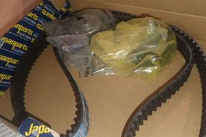 cinghia di distribuzione