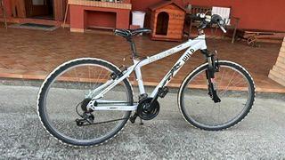 bicicletta ragazzo/a