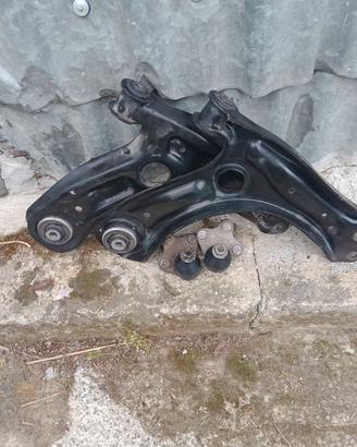 Bracci rigenerati Polo 6r