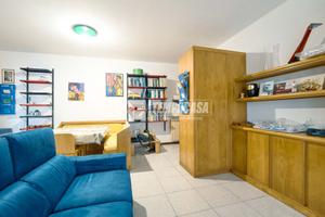 AMPIO TRILOCALE CON BOX E CANTINA A CREMONA