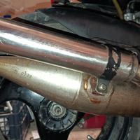 marmitta giannelli rekord 