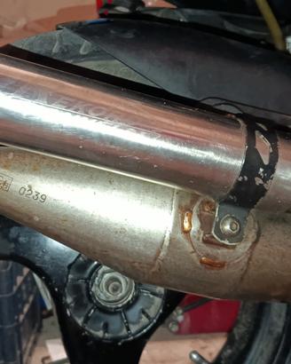 marmitta giannelli rekord 