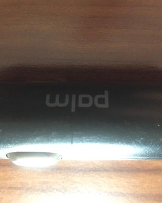 Caricatore auto PALM + manuale