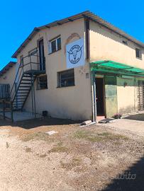 Maneggio pensione cavalli 