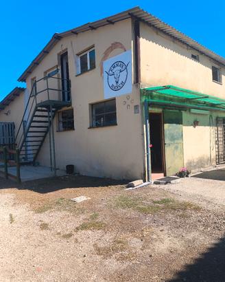 Maneggio pensione cavalli 