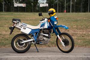 Suzuki Dr 600 Djebel 89