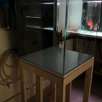 Acquario