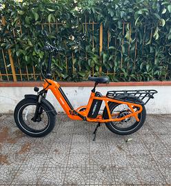 E-Bike Cargo HAOQI Camel