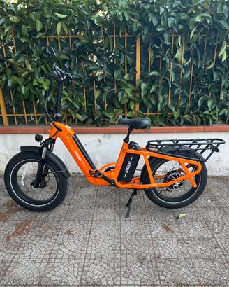 E-Bike Cargo HAOQI Camel
