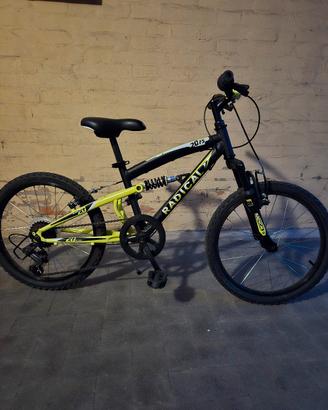 mtb 20"