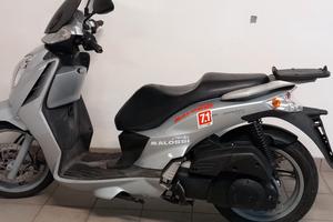 Malaguti  password 250