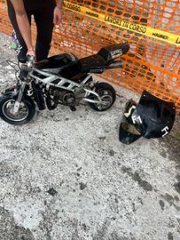 Minimoto gp honda 2005