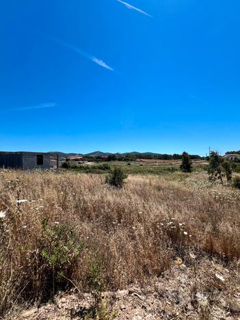 Lotto di terreno - Palmadula