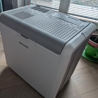 frigo portatile per auto 