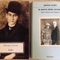 Lotto libri Pietro Citati