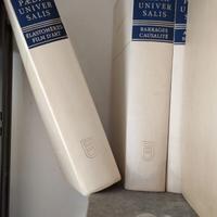 enciclopedia universale francese