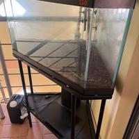 Acquario pesci da 130 litri