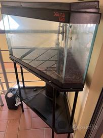 Acquario pesci da 130 litri