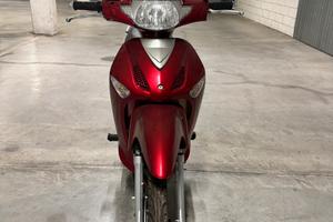 Motorino elettrico ST AR1000