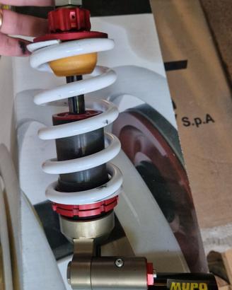 Kit sospensioni MUPO per Monster 1200 - 821

