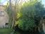 Immagine 16