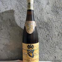 Rüdesheimer Rosengarten 1970