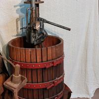 Torchio idraulico per uva