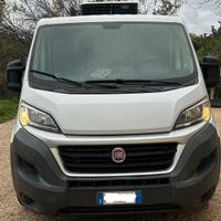 Fiat Ducato L1 H1 frigo 2.0 115cv motore nuovo