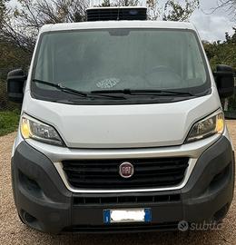 Fiat Ducato L1 H1 frigo 2.0 115cv motore nuovo