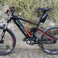 Ebike full