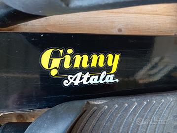 stepper Ginny Atala per ginnastica in casa 