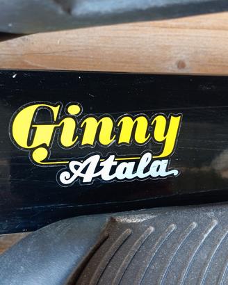 stepper Ginny Atala per ginnastica in casa 