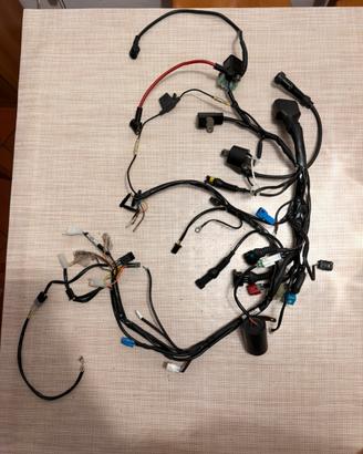 Impianto Elettrico Completo TM SMR 530 FI