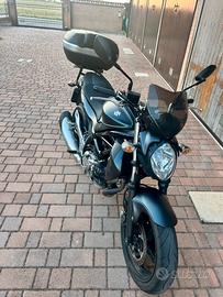 SUZUKI GLADIUS 650