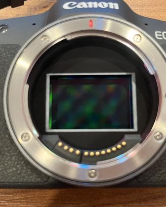 Canon EOS R8 Mirrorless 24.2 MP Solo Corpo - Pari