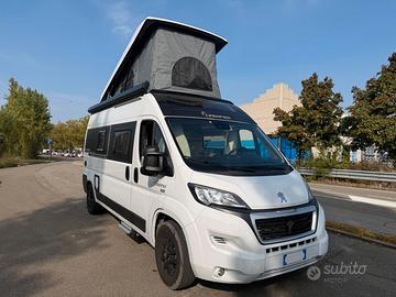 FURGONATO DREAMER D55 UP