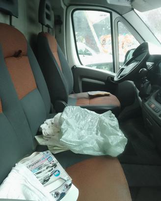 Ducato maxi