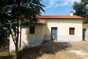 Immobile indipendente con terreno