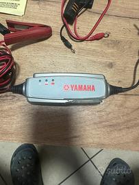 Mantenutoee di carica