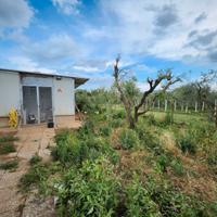 Zagarolo: terreno con rustico e azienda agricola