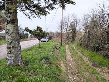 Terreno Edificabile a Doberdò del Lago