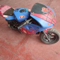 Minimoto elettrica 24V