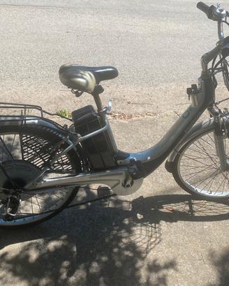 Bicicletta Elettrica a Pedalata Assistita (E-Bike)
