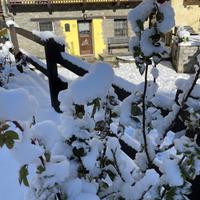 Affitti brevi case vacanze