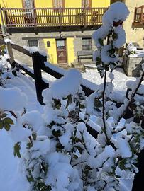 Affitti brevi case vacanze