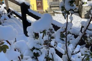 Affitti brevi case vacanze