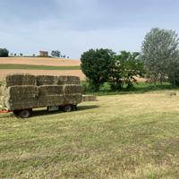 Fieno certificato bio