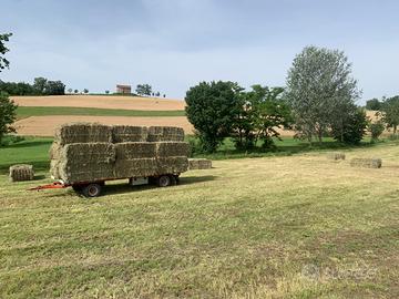 Fieno certificato bio