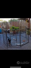 Recinto per cani/animali