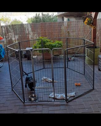 Recinto per cani/animali